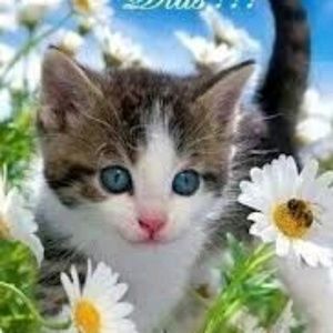 Meet your Posher, Blanca